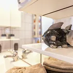 Alte Schmiede Apartamento